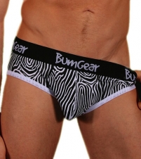 Safari Zebra Brief